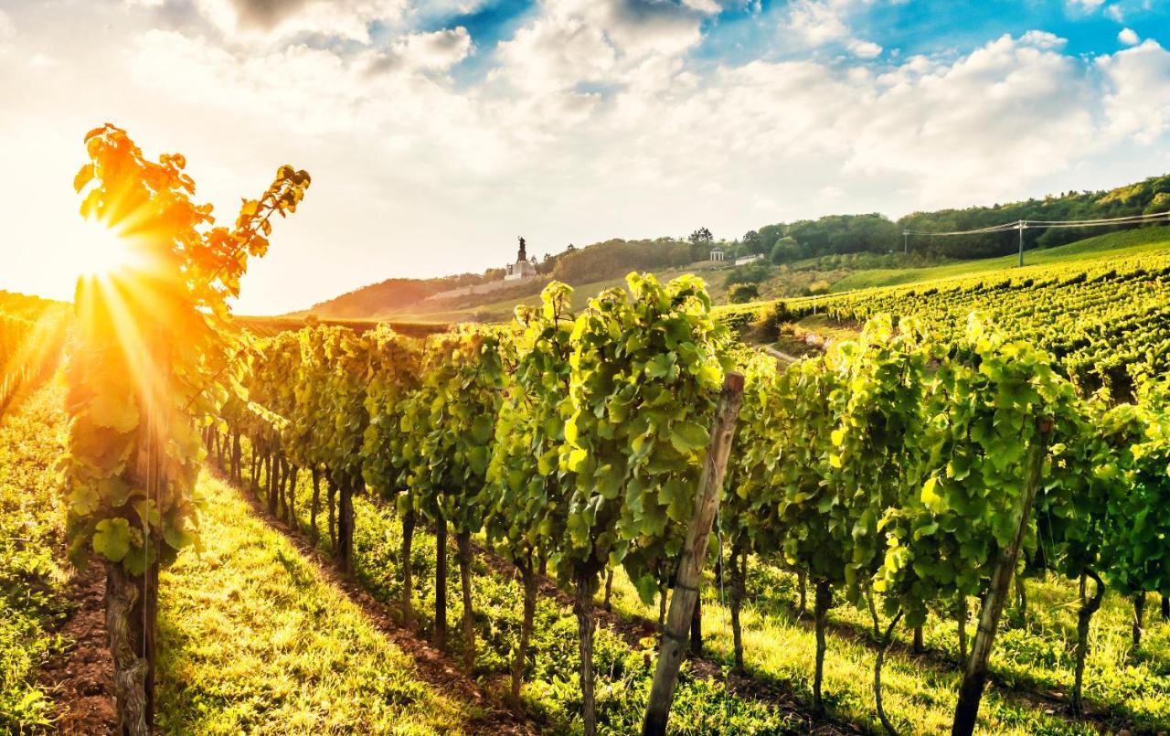 Fewo Zum Malerwinkel - Ruedesheim Rüdesheim am Rhein Esterno foto