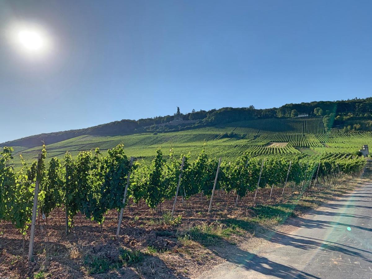 Fewo Zum Malerwinkel - Ruedesheim Rüdesheim am Rhein Esterno foto